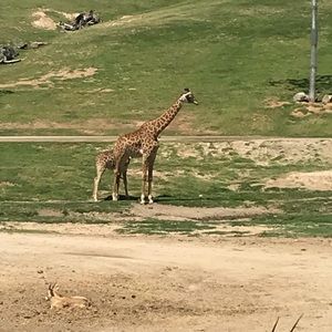 Meet your Posher, Sandra